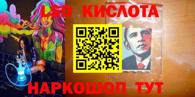 крисы Гатчина