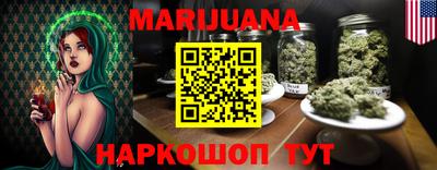 крисы Гатчина
