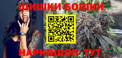 крисы Гатчина
