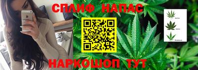 mix Дмитров
