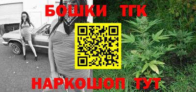 крисы Гатчина