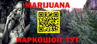 крисы Гатчина