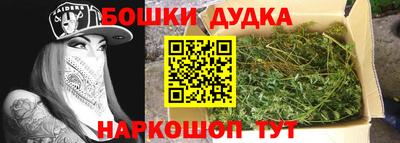 крисы Гатчина