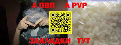 крисы Гатчина