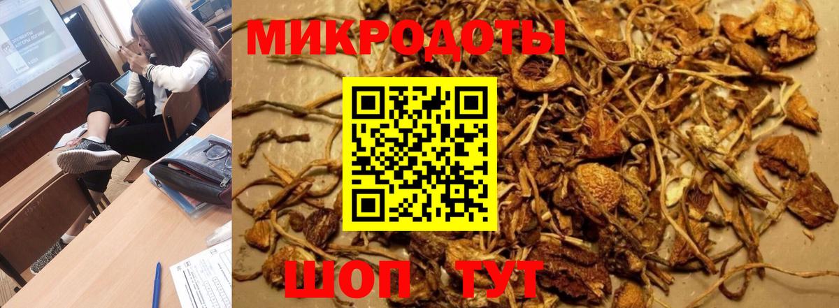 Псилоцибиновые грибы мицелий  как найти закладки  Кингисепп  Вход с VPN 