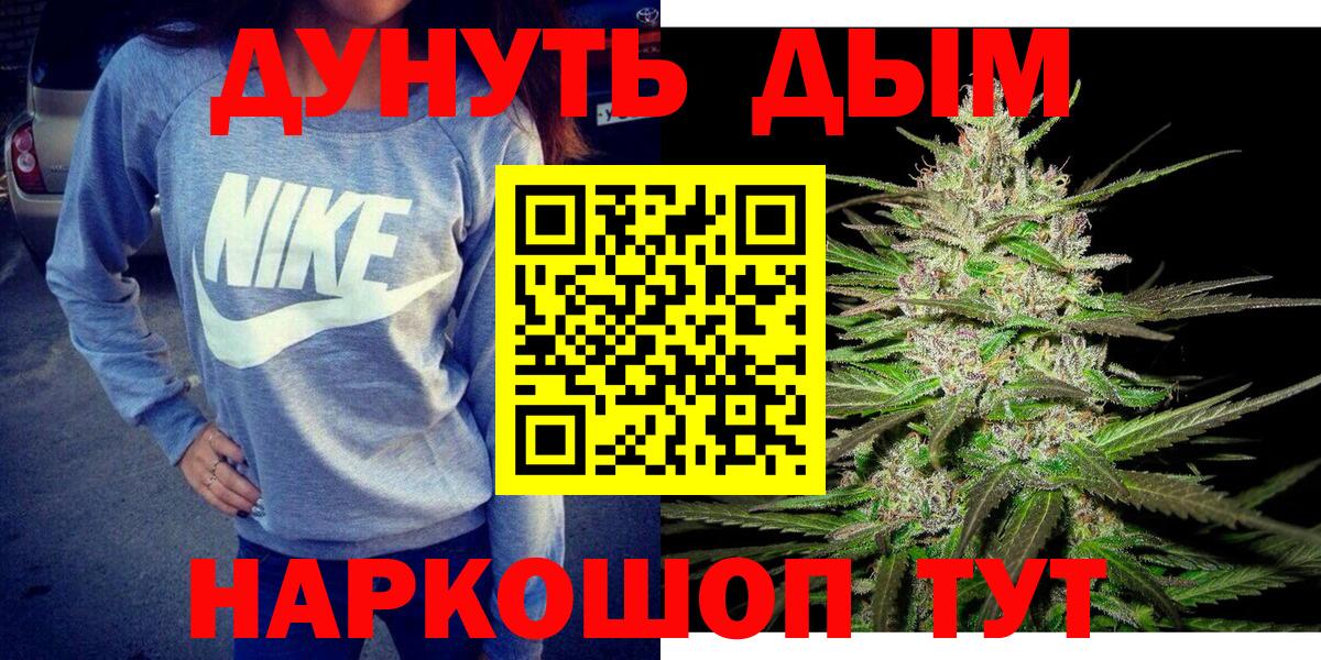 Бошки Шишки марихуана Кингисепп